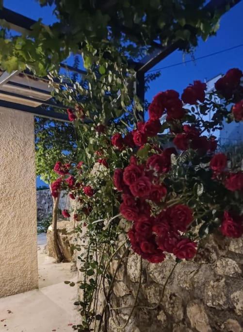 Kondoyenádha Villa Aiolia מראה חיצוני תמונה